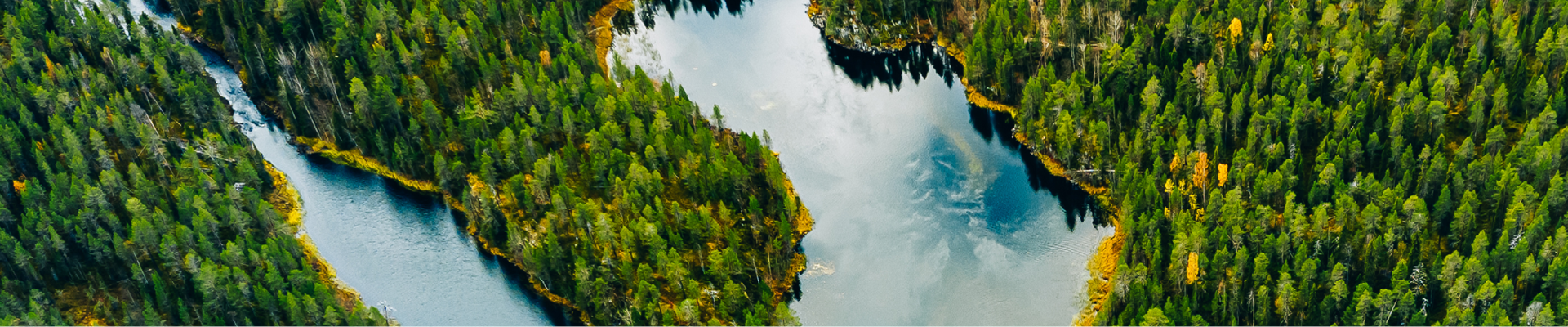 Vibrant green forestry wrapping around a horse shoe shaped blue river 