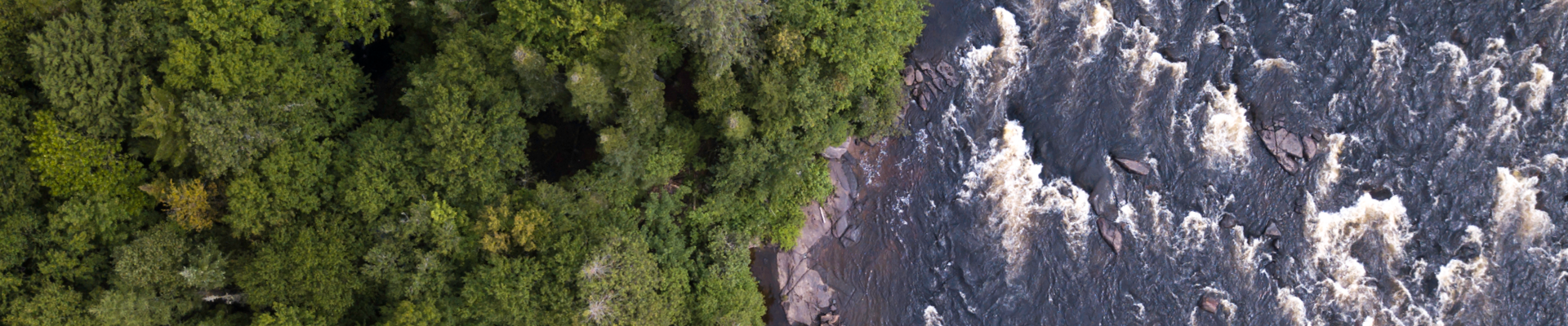 Forêt verte recouvrant une étendue d'eau bleu foncé avec de fortes vagues.