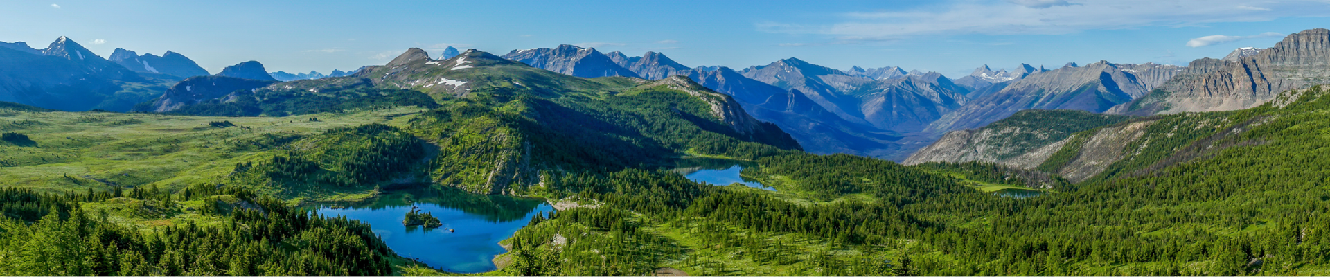 Big bumpy green field with green trees, two small ponds, and grey mountains in the back