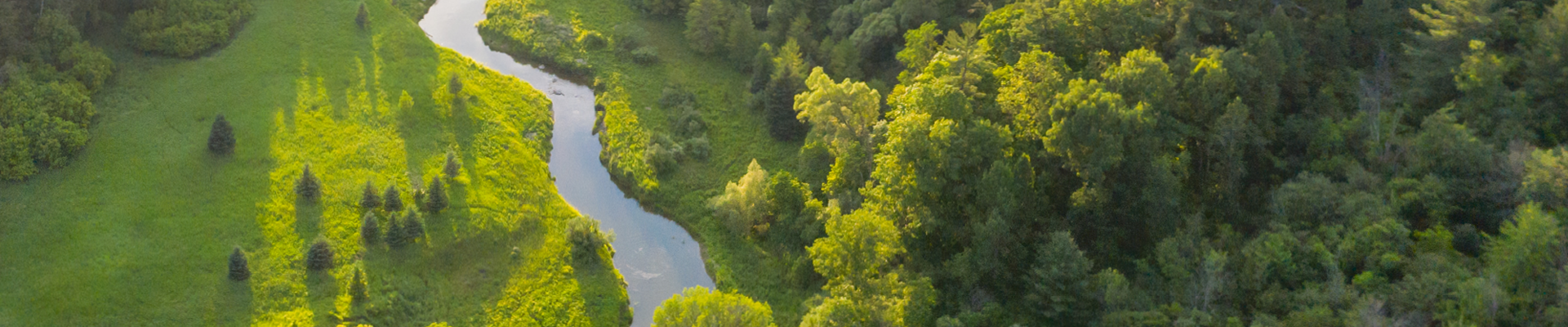 Vue à vol d'oiseau d'un ruisseau d'eau claire avec un champ vert à gauche et une forêt verte à droite. 