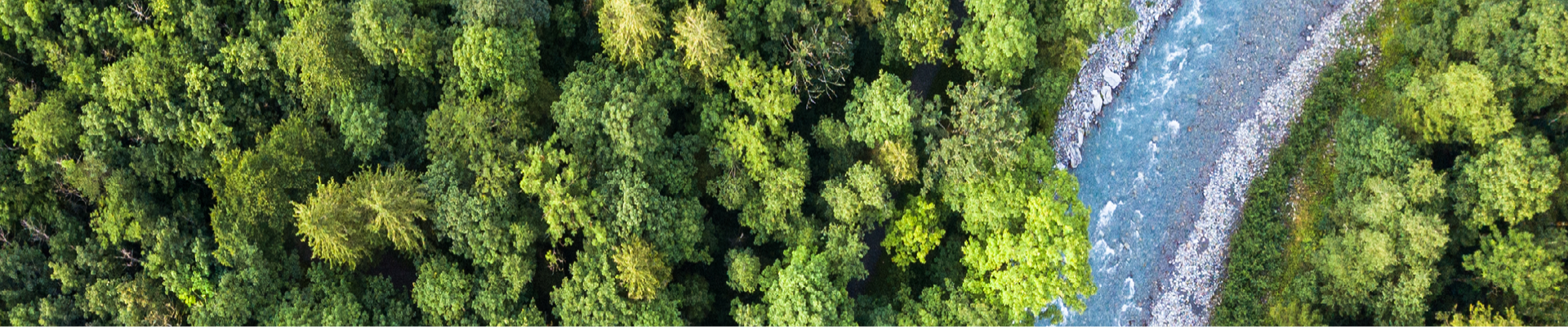 Vue aérienne d'une forêt verdoyante avec un cours d'eau bleu et un sentier de pierre gris clair 